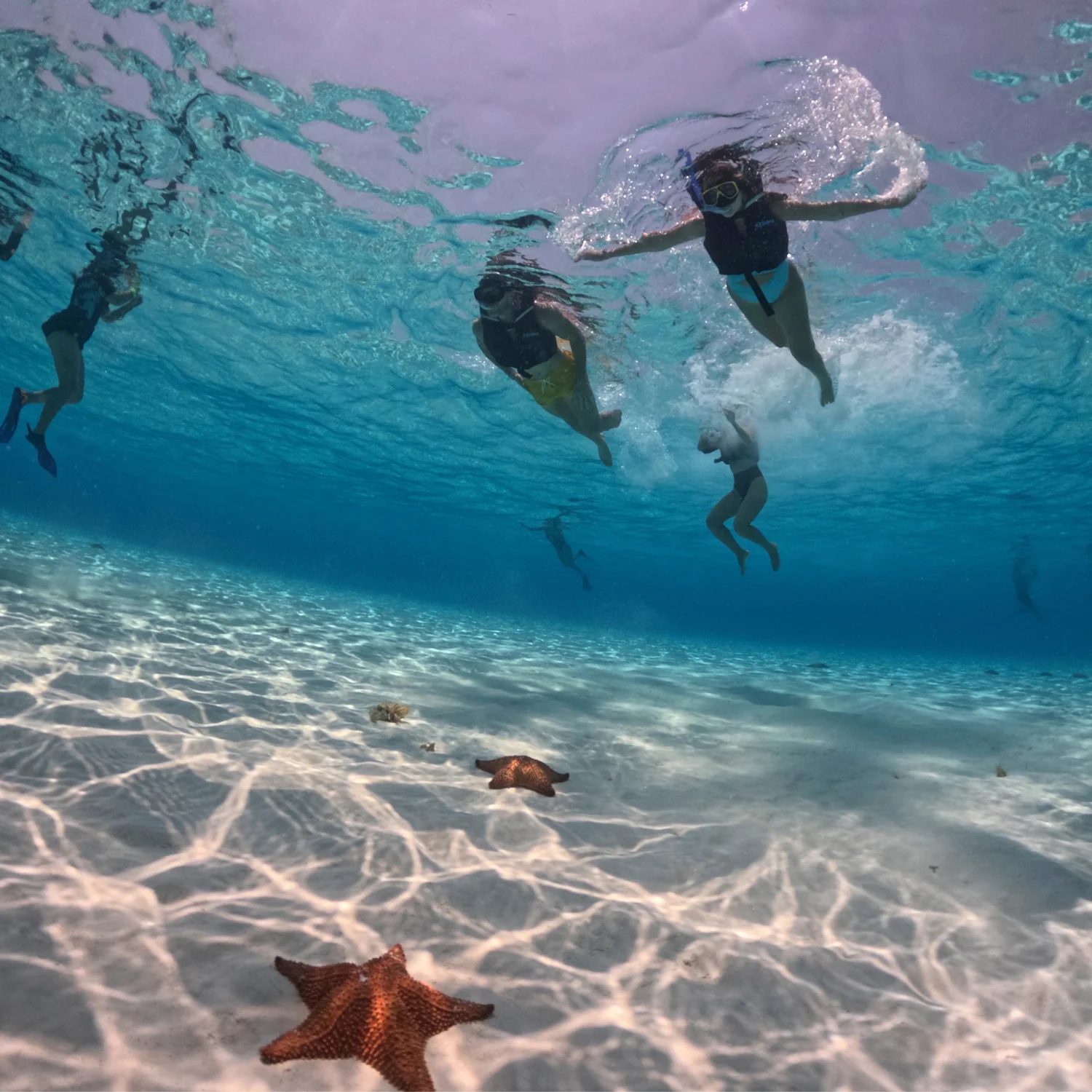 Personas snorkeleando sobre estrellas de mar en El Cielo, Cozumel