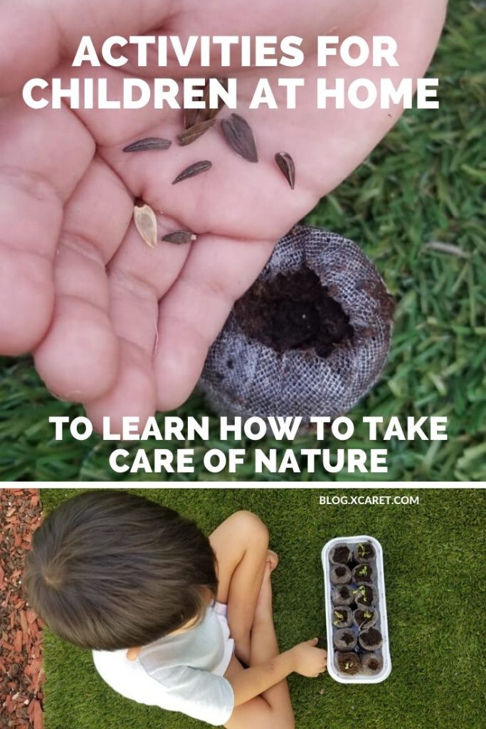 5 Activities and games to learn to take care of nature as a family from home