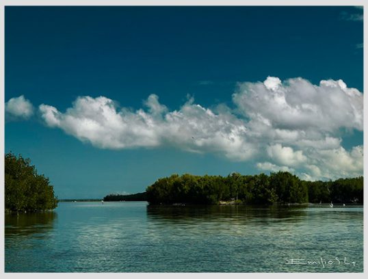 5 incredible beaches in Yucatan you may not know