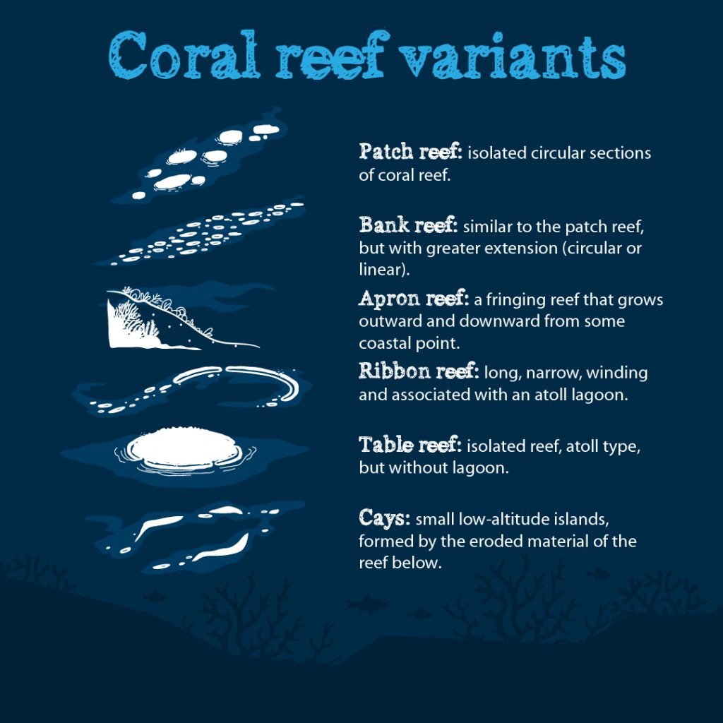 barrier reef vs fringing reef