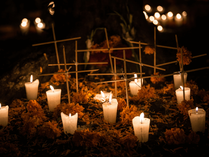 La flor de Cempasúchil: flor de Dia de Muertos que da vida