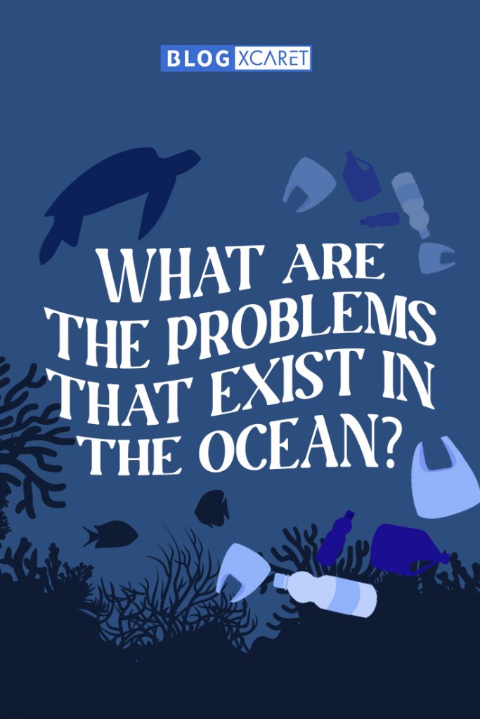 What are the problems that exist in the ocean