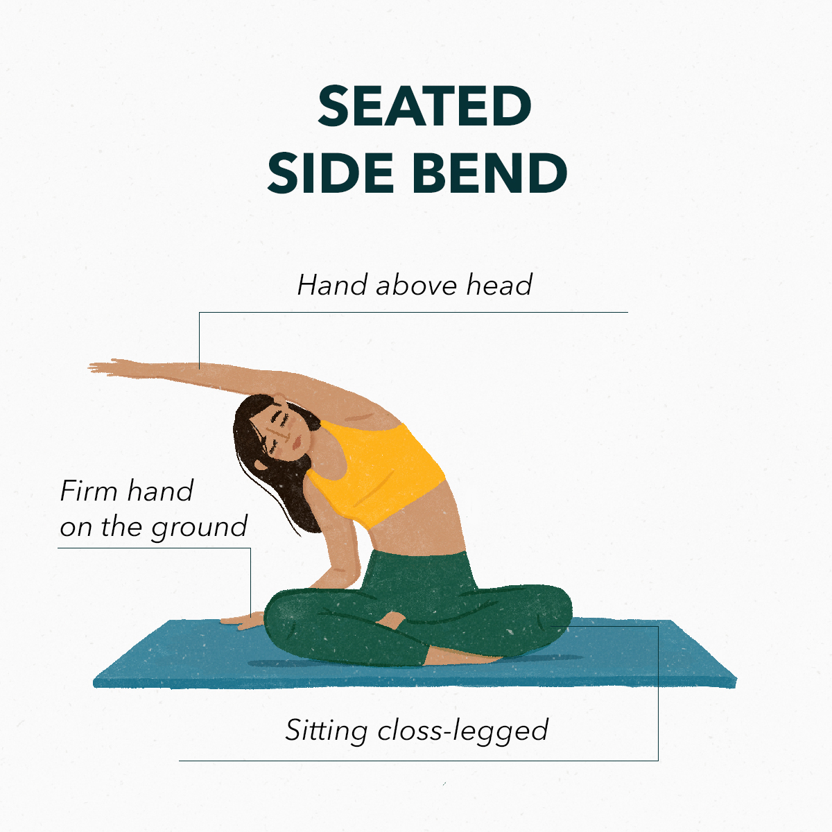 Seated side bend | Basic stretches