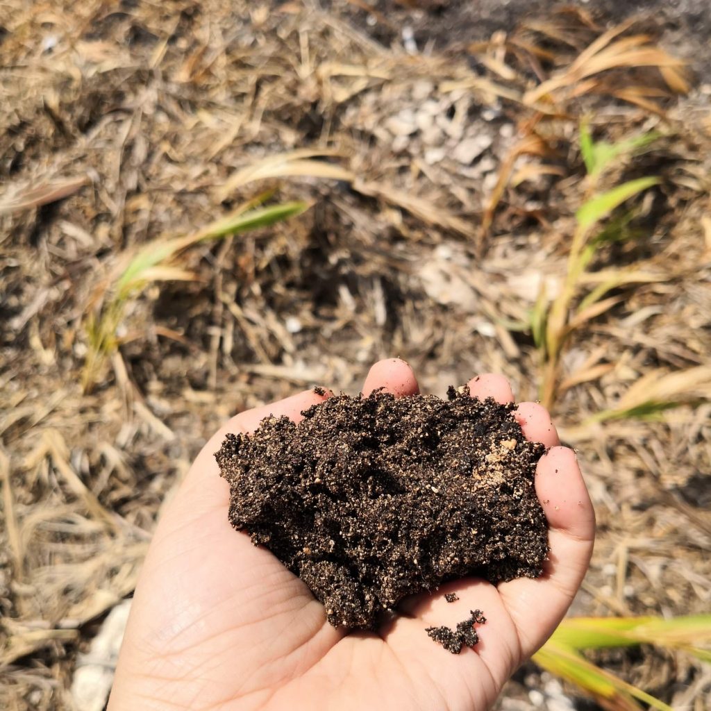 Tierra para fertilizar hecha con sarazo en xcaret