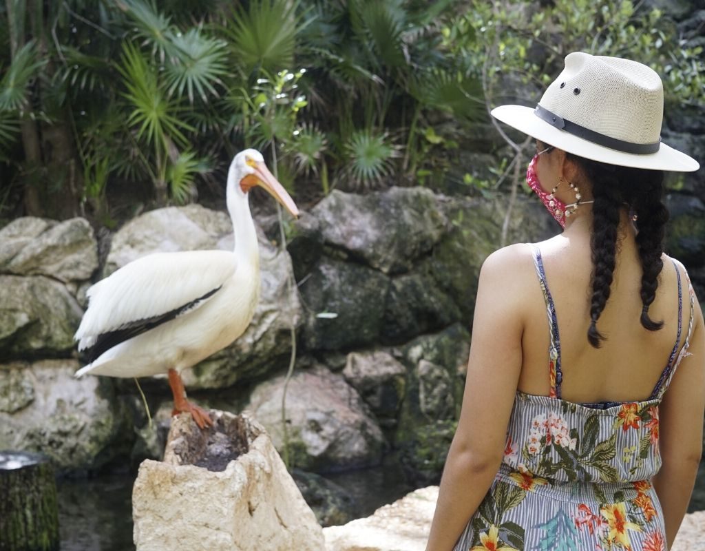 vacaciones cuando todo esto pase - contacto con naturaleza