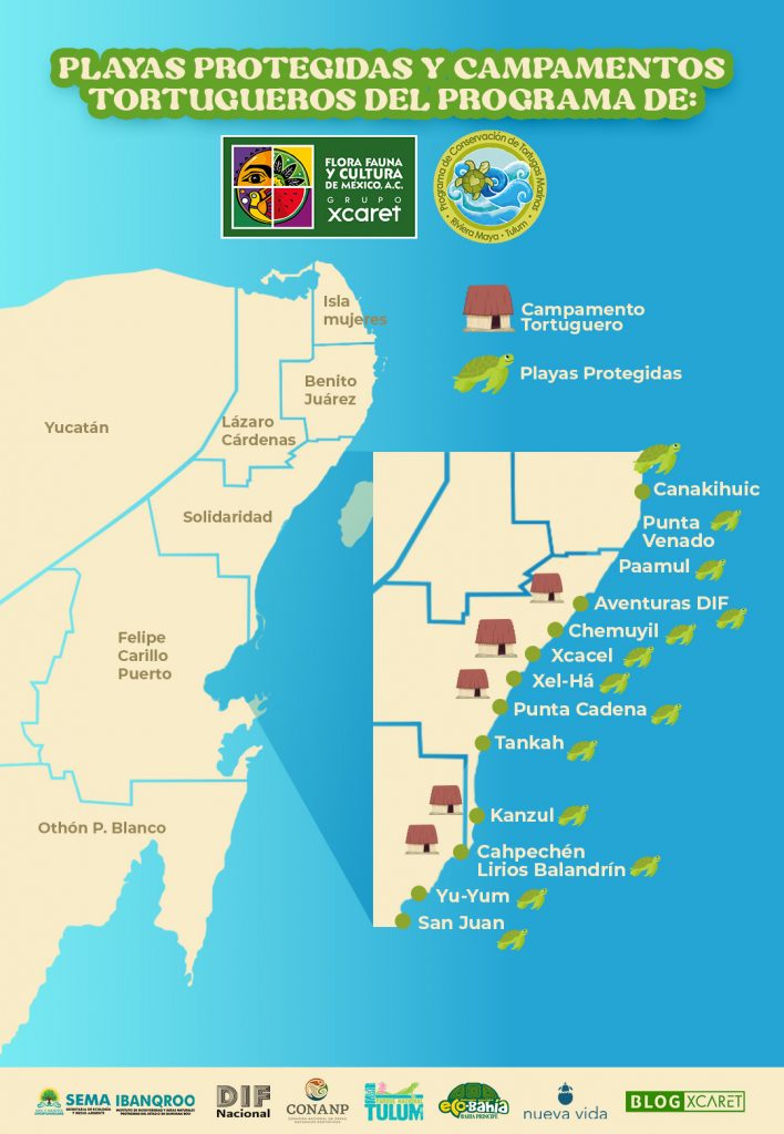 mapa de playas protegidas y campamentos tortugueros