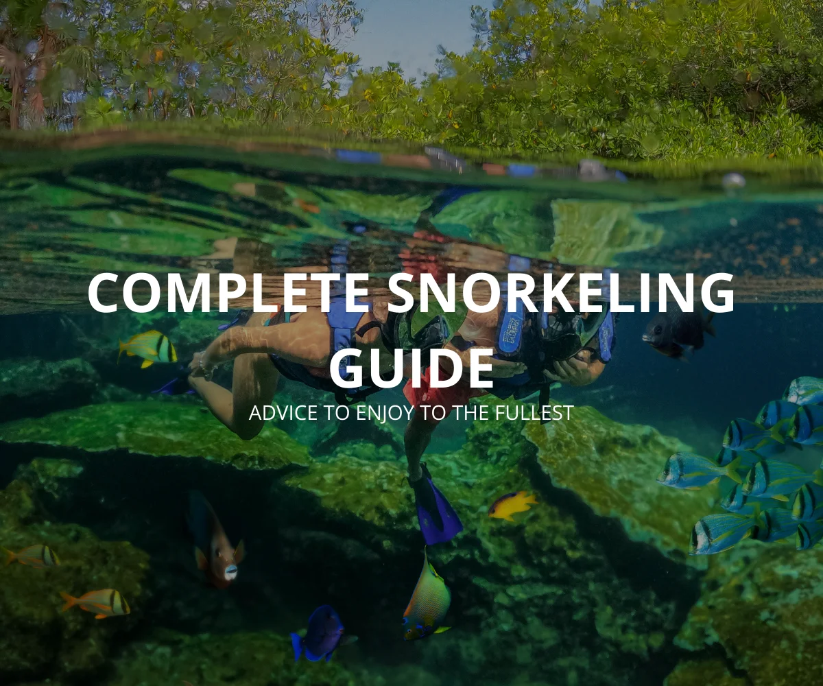 Snorkeling: A Complete Guide to Go Snorkeling in the Riviera Maya and Enjoying It to the Fullest 