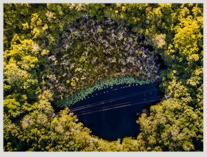 foto aerea de cenote en la selva