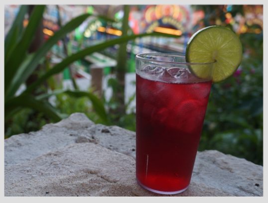 5 Drinks That You Need To Try While Visiting Mexico Xcaret Blog Read About Travel Tips 8304