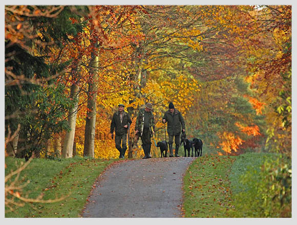 caminos-escocia