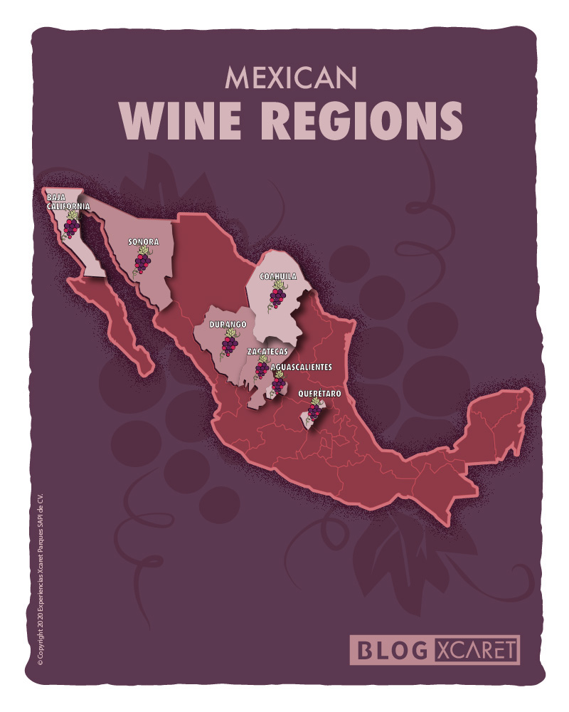 7 Mexican wine regions for your next gastronomic travel experience