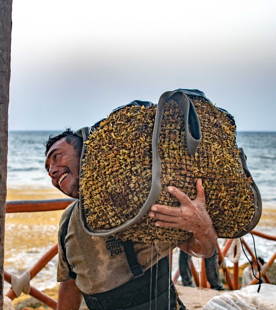 Que hacemos con el sargazo en Xcaret