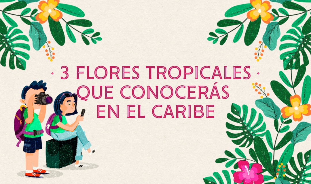 3 Flores tropicales que conocerás en tu viaje al Caribe