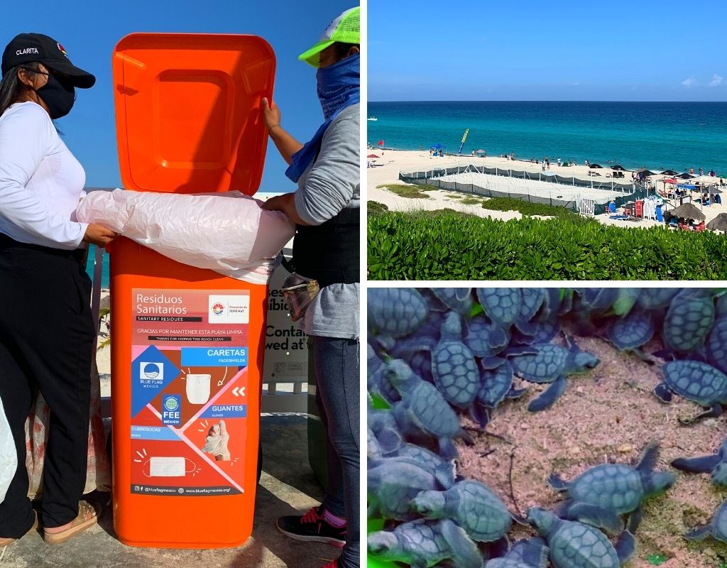 reopening-of-beaches-in-Cancun-turtle-hatching