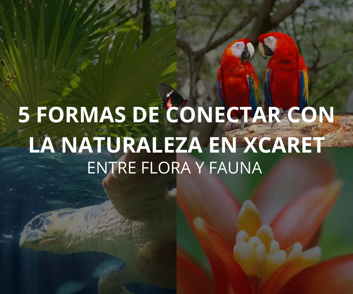 5 atracciones naturales para toda la familia en Xcaret