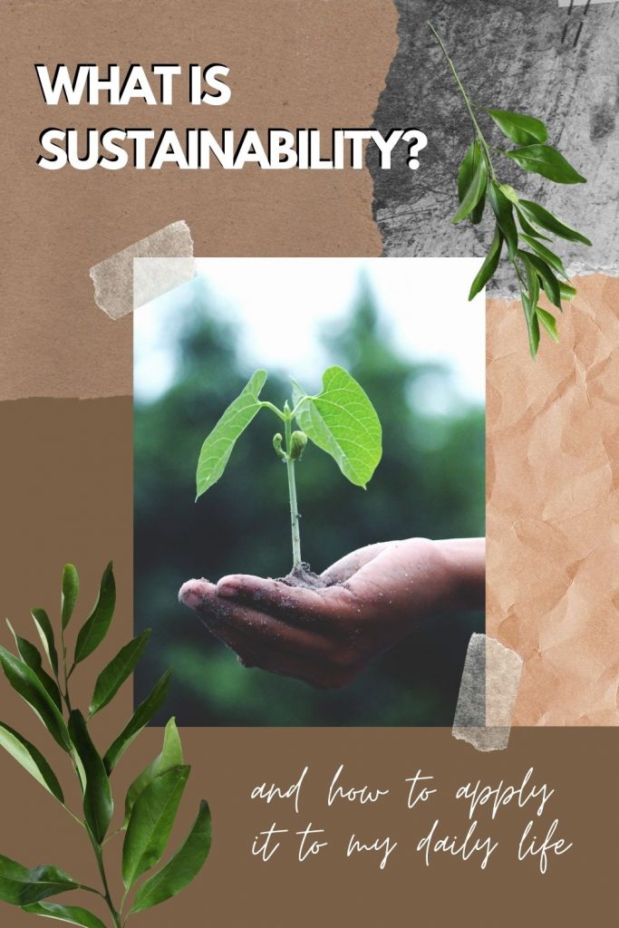 what is sustainability - blog