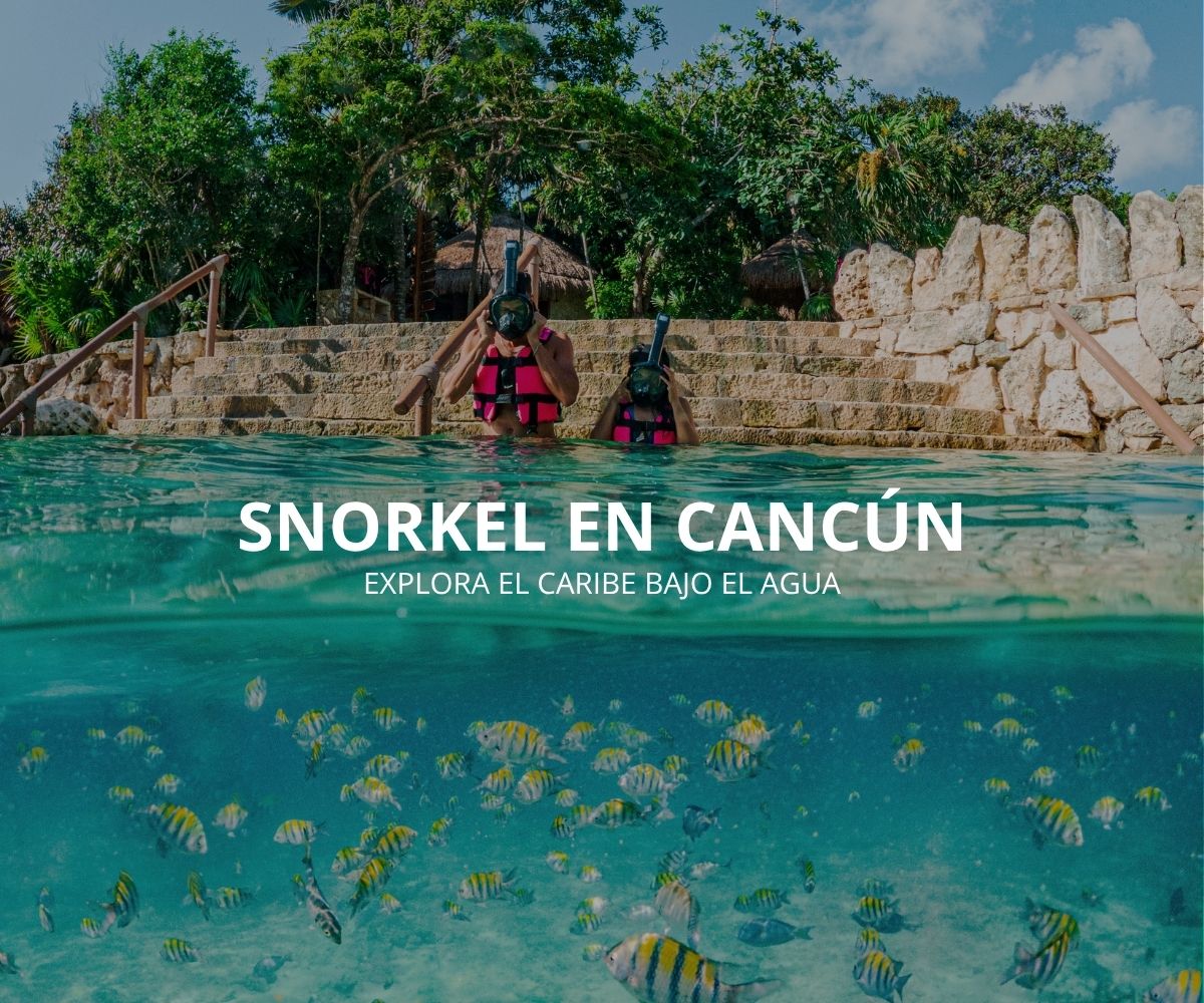 Snorkel en Cancún: explora el Caribe bajo el agua