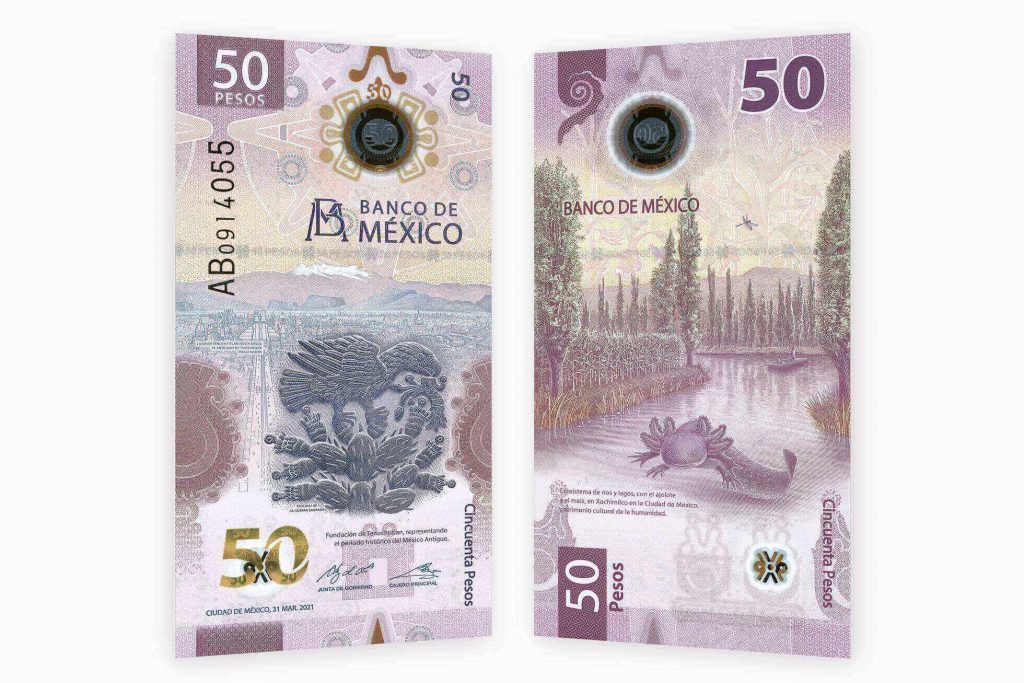 Billete de 50 pesos con ajolote mexicano