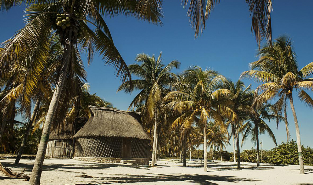 cabaña en la playa con palmeras