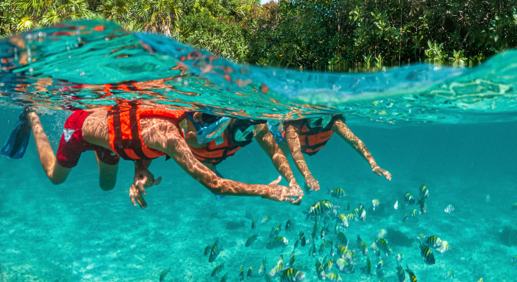 Personas disfrutando del snorkeling con peces sargento