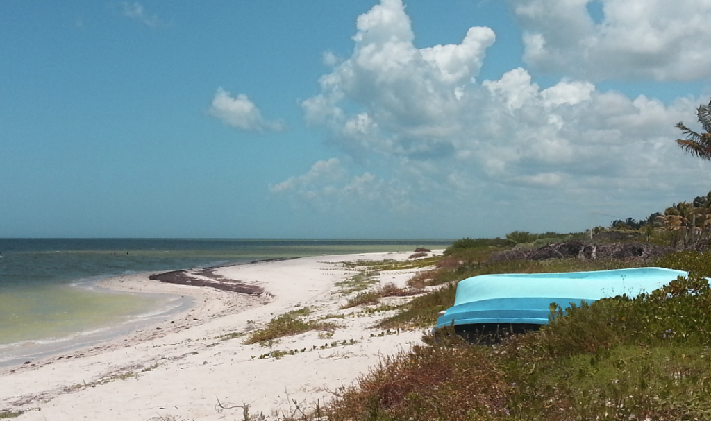 5 Playas En Yucatán Que No Conoces Y Deberías Visitar