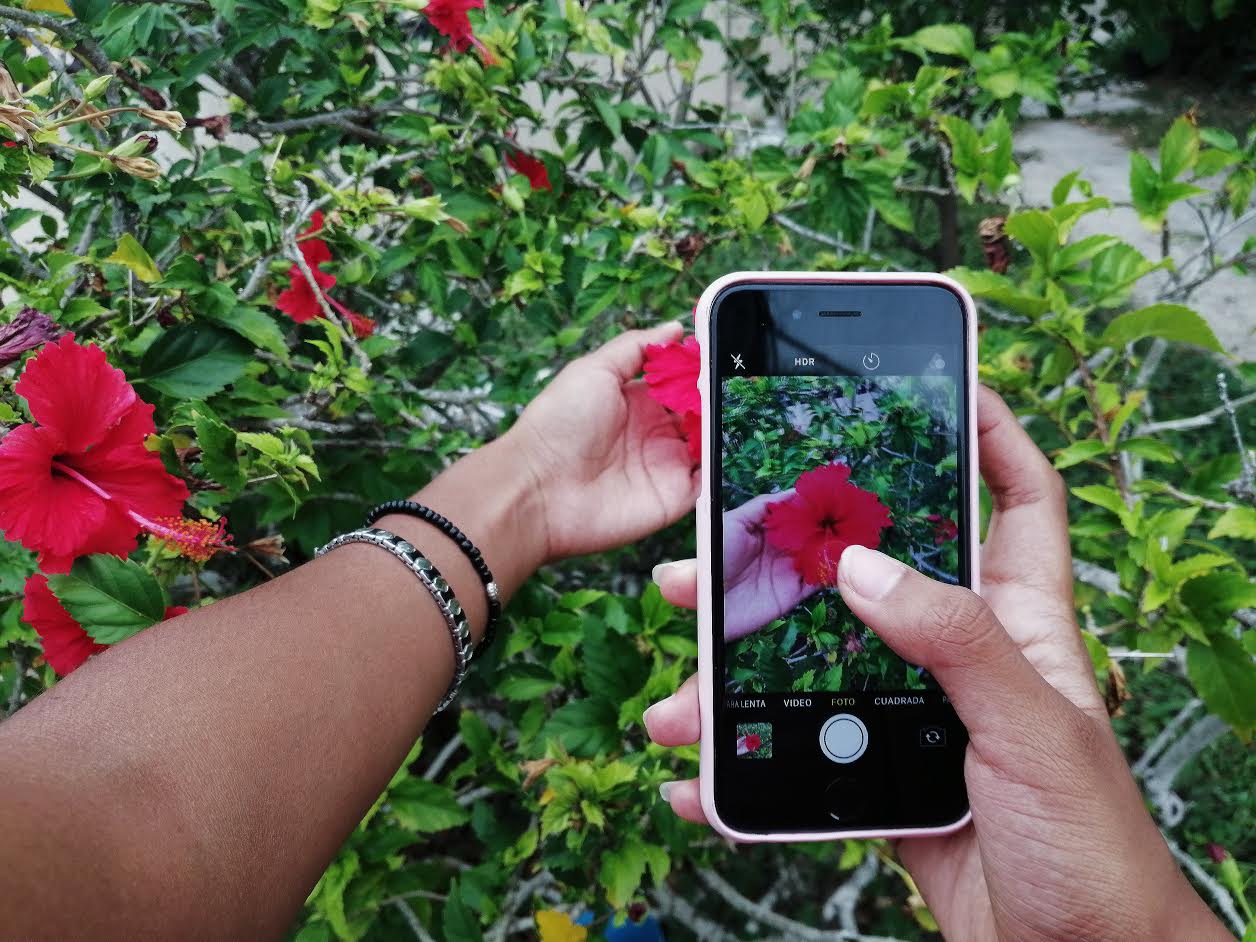 3 Apps que te ayudarán a editar tus fotos en el Celular