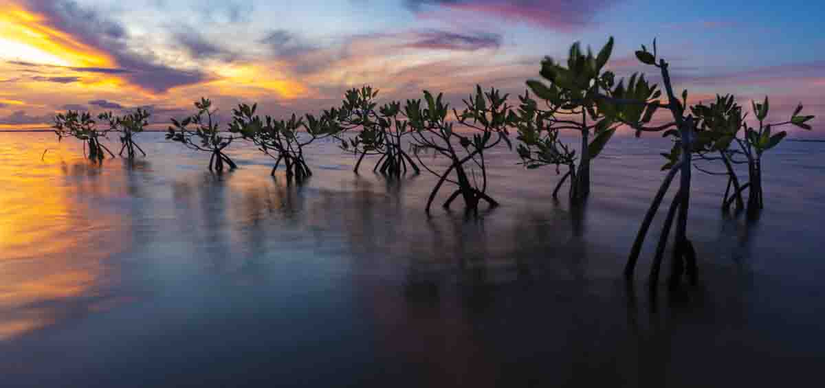 Nichupte Lagoon