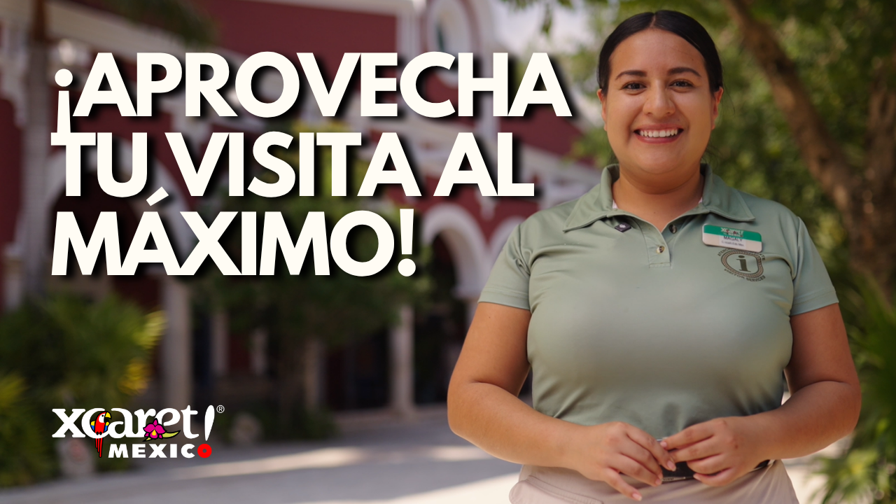  Tips Imperdibles Para Visitar Xcaret En 2026: Entradas, Actividades y Recomendaciones