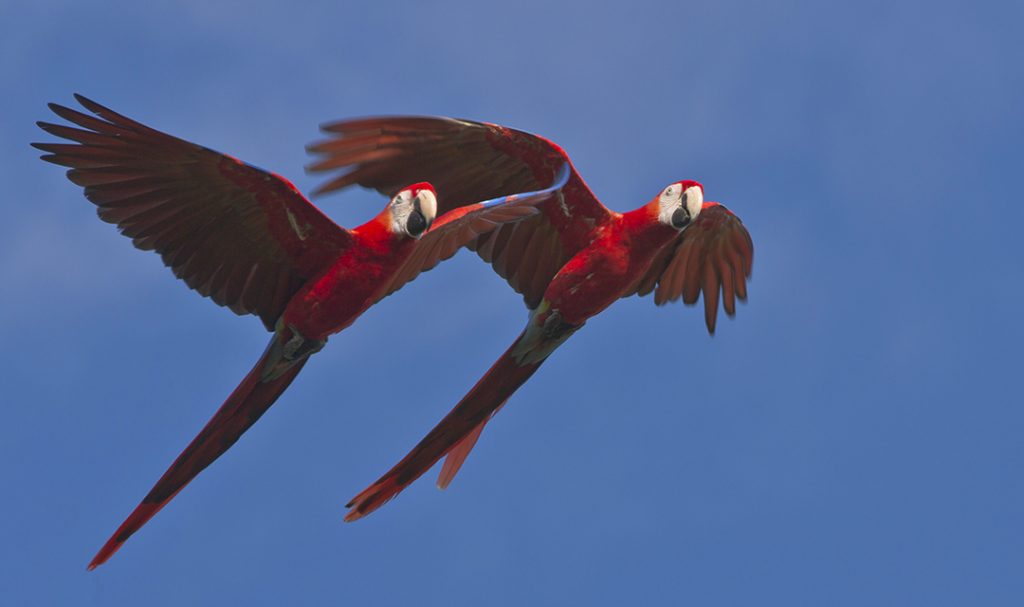 10 Espectáculos Naturales En México