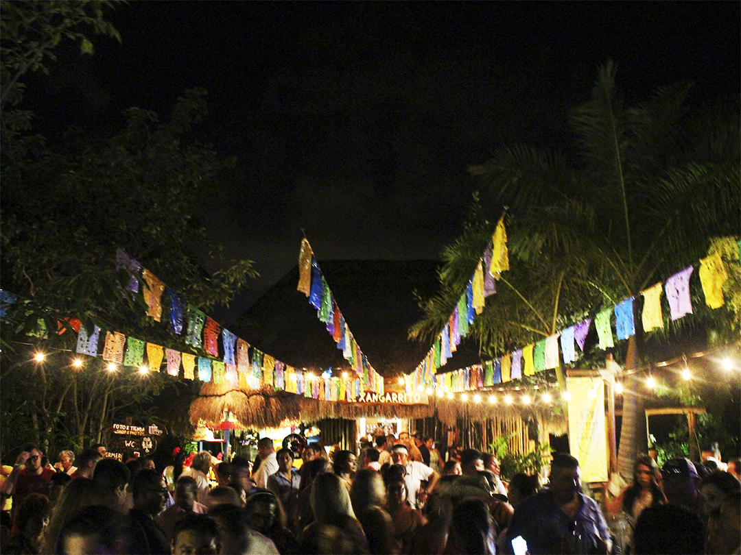 Ultimate Guide For Partying At Xoximilco Cancun