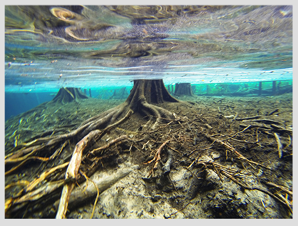 cenote-mexico