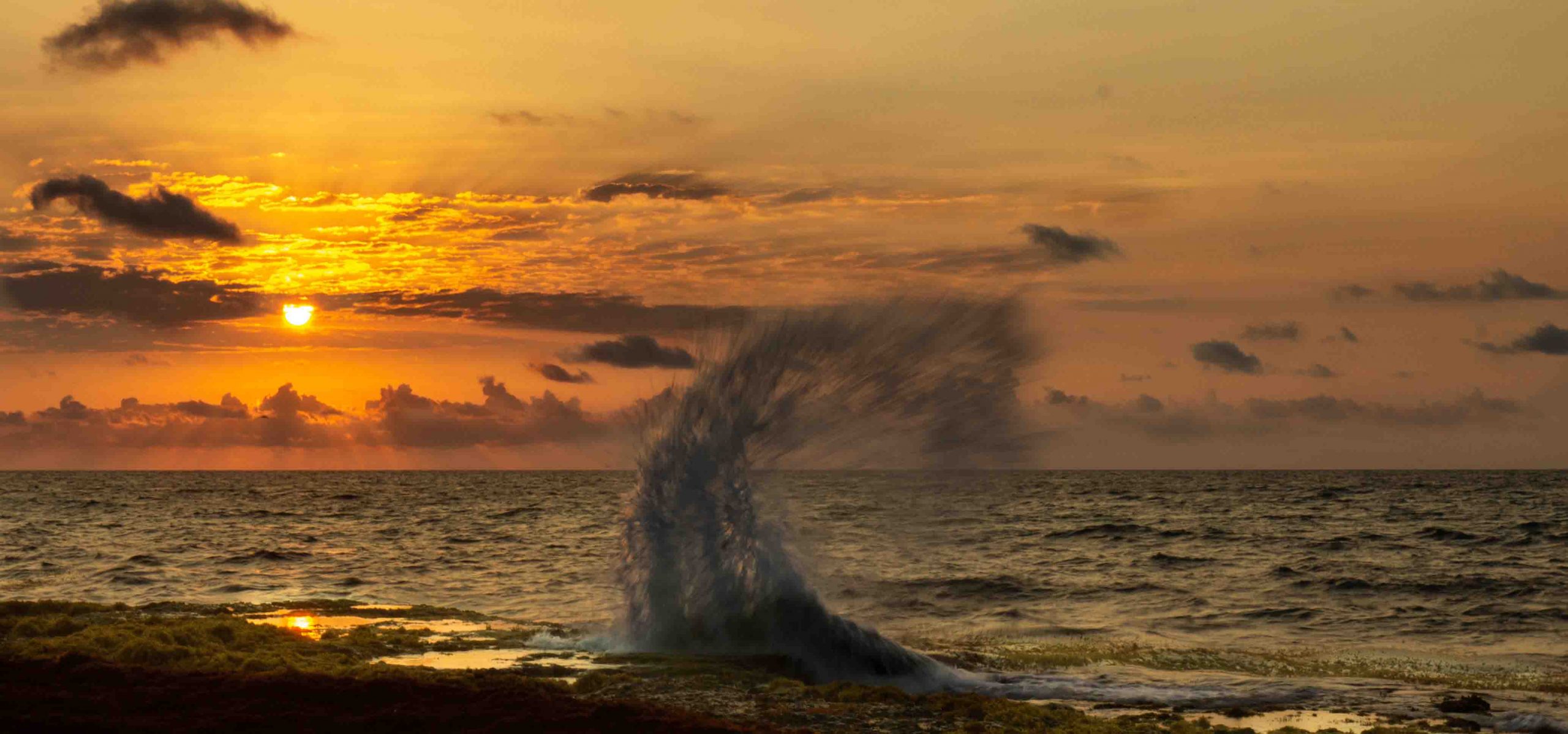 See the sunrise in Playa del Carmen 