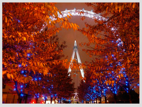 london-eye-in-autumn