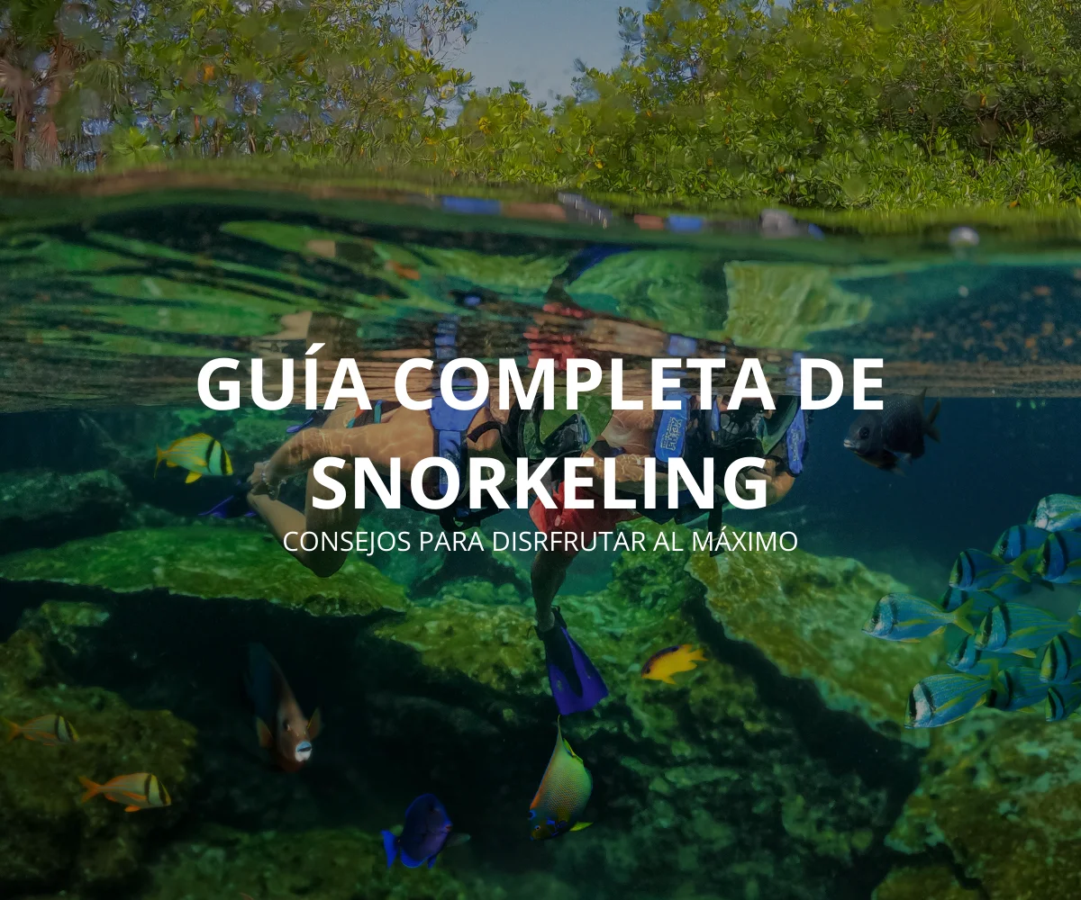 Snorkeling: guía completa para hacer snorkel en la Riviera Maya y disfrutarlo al máximo