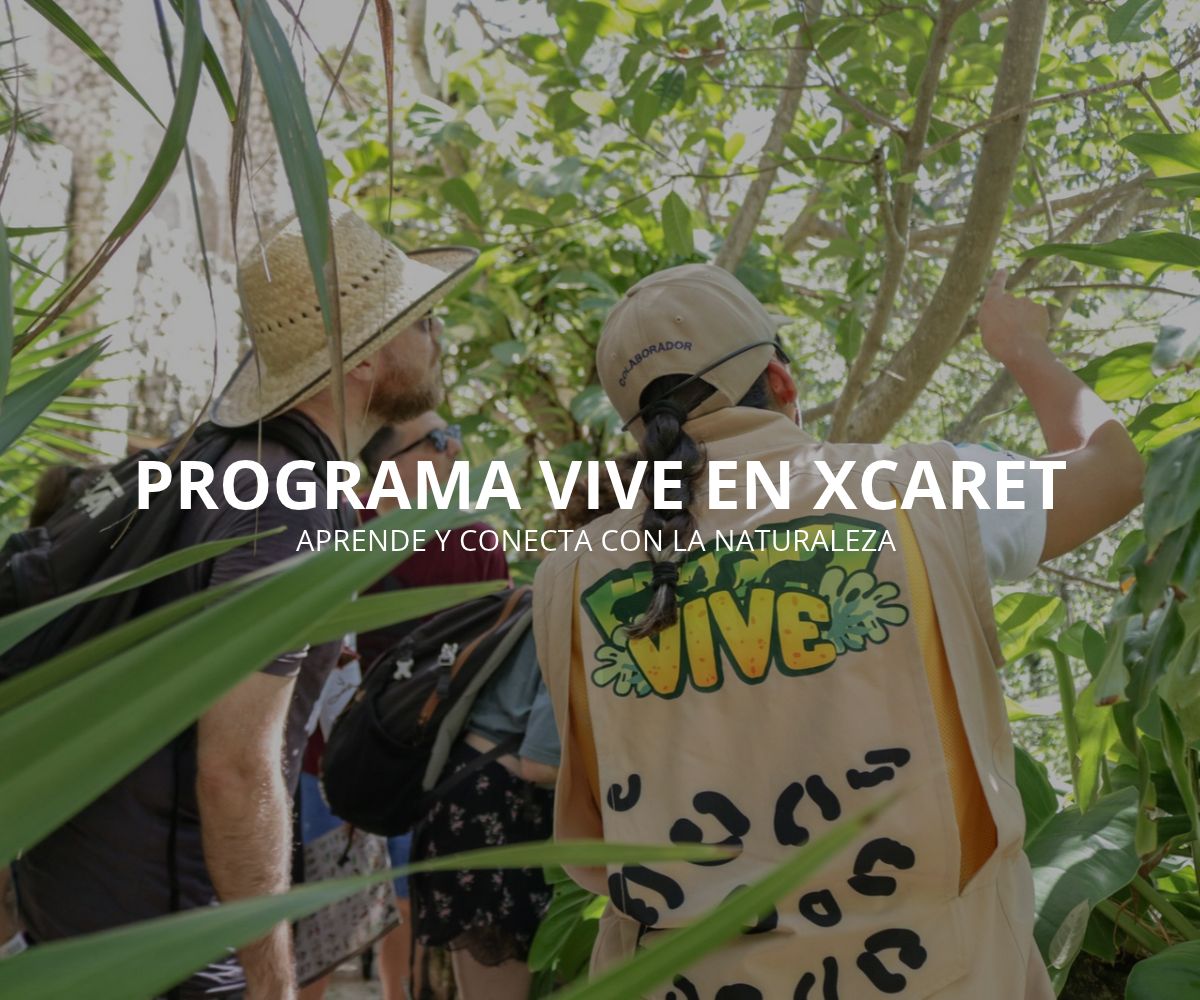 Programa Vive en Xcaret: Aprende Y Conecta Con La Naturaleza