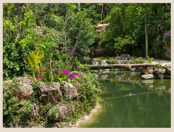 paisaje-picnic-xenotes-verano-nofilter-sinfiltro-xcaret