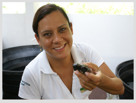 sea turtle hospital in Xcaret