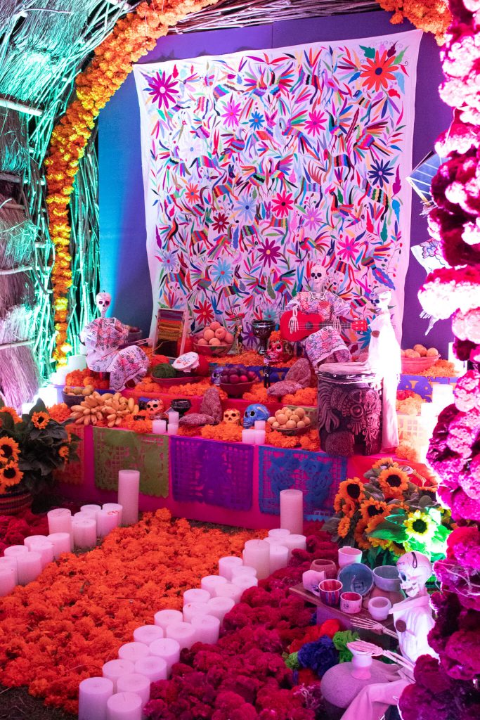 Festival de Vida y Muerte experiencia