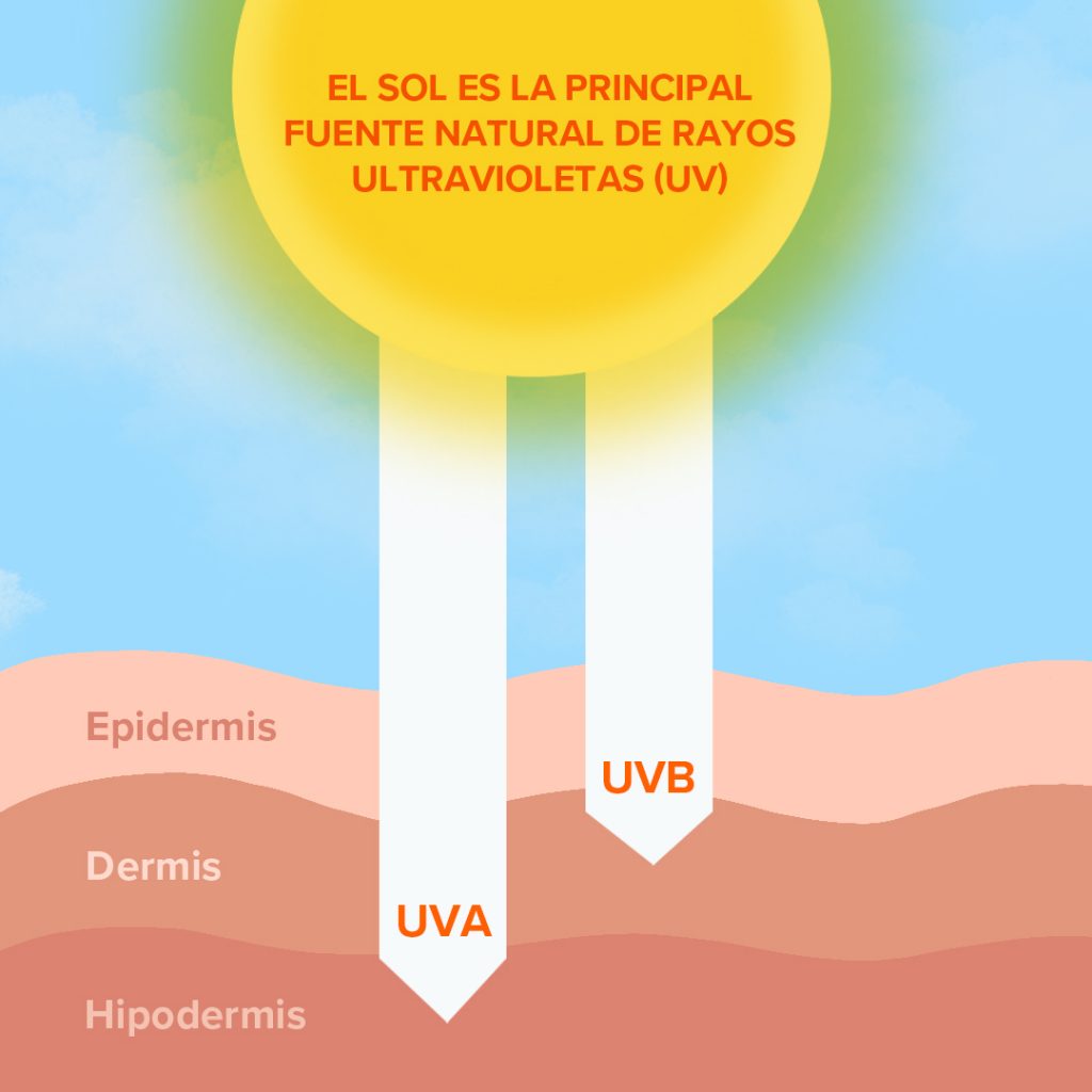 rayos-ultravioleta-capas-de-la-piel