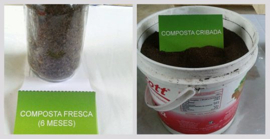 Tour du bac à compost 101