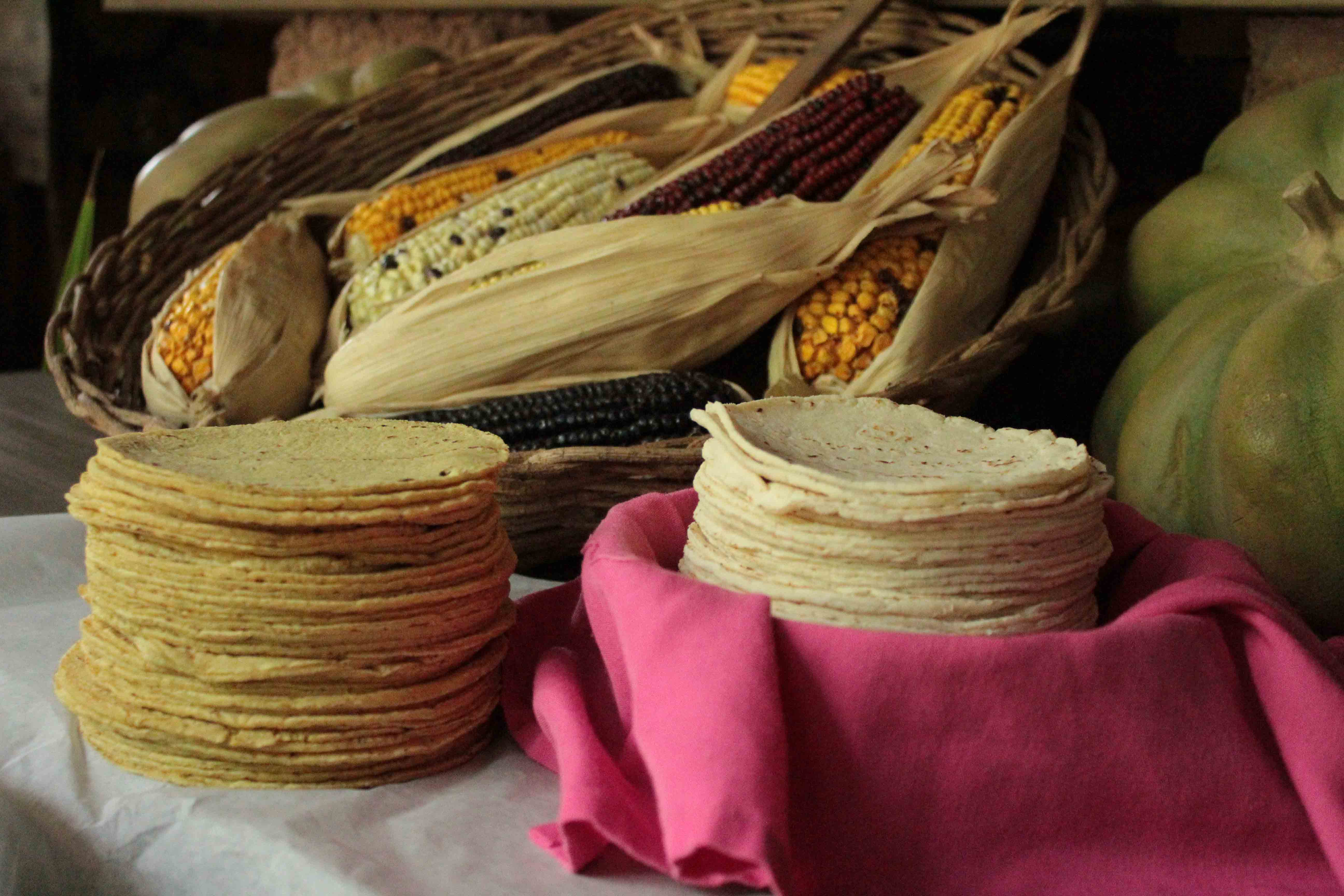 Como Se Hace La Tortilla Explicacion Para Niños