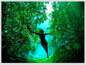 mujer nadando en un cenote