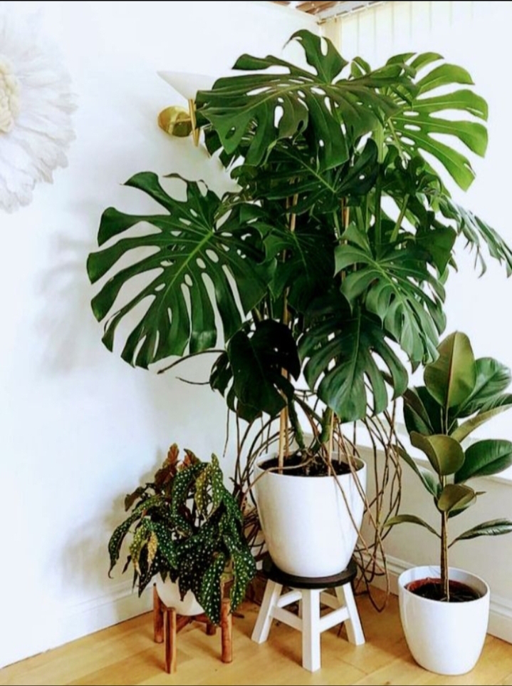 1st Heavenly Massage & Weight Loss Clinic (Healing Massage))