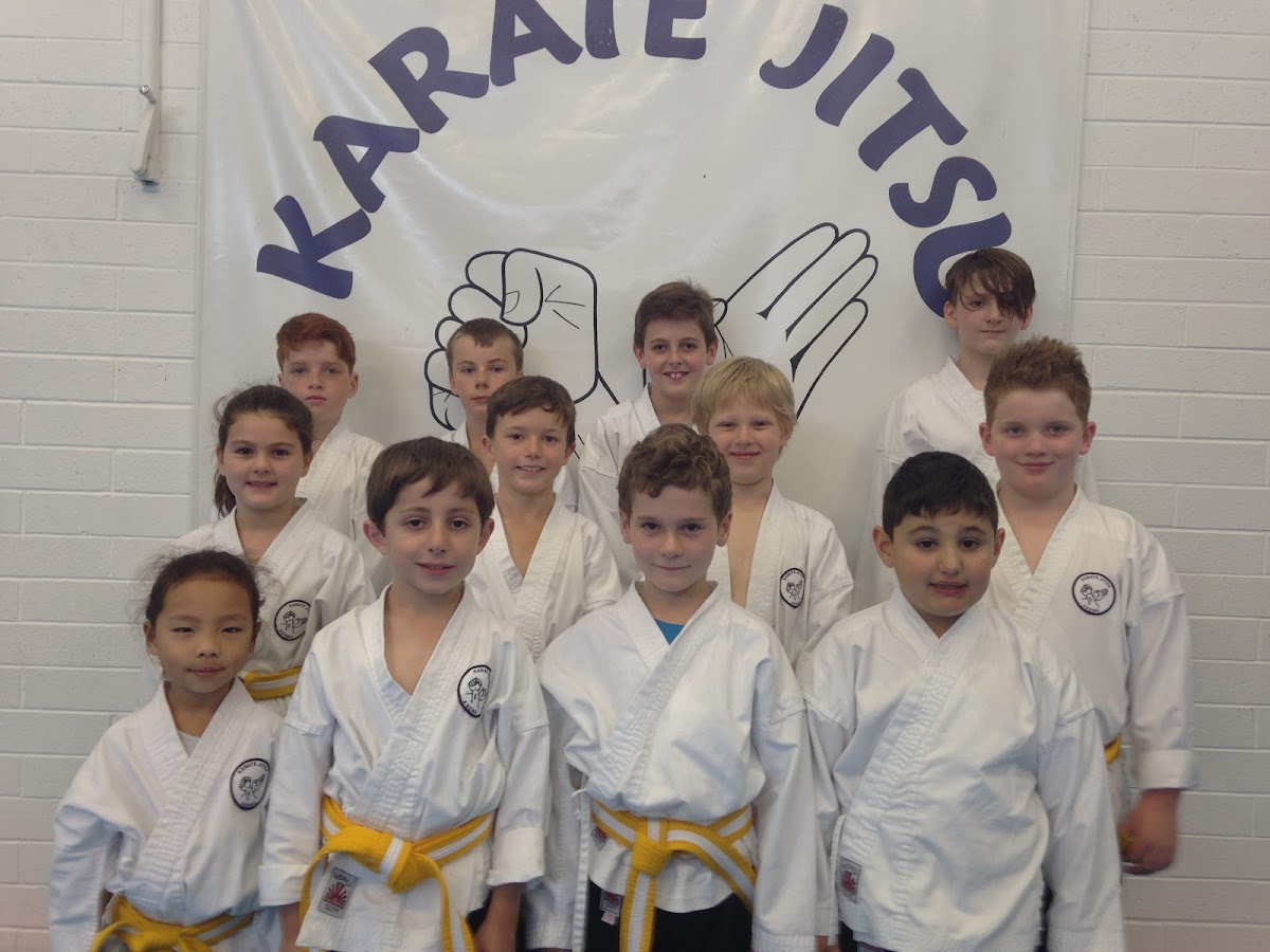A group of children in karate gis pose for a photo in front of a banner that reads 'Karate Jitsu'.