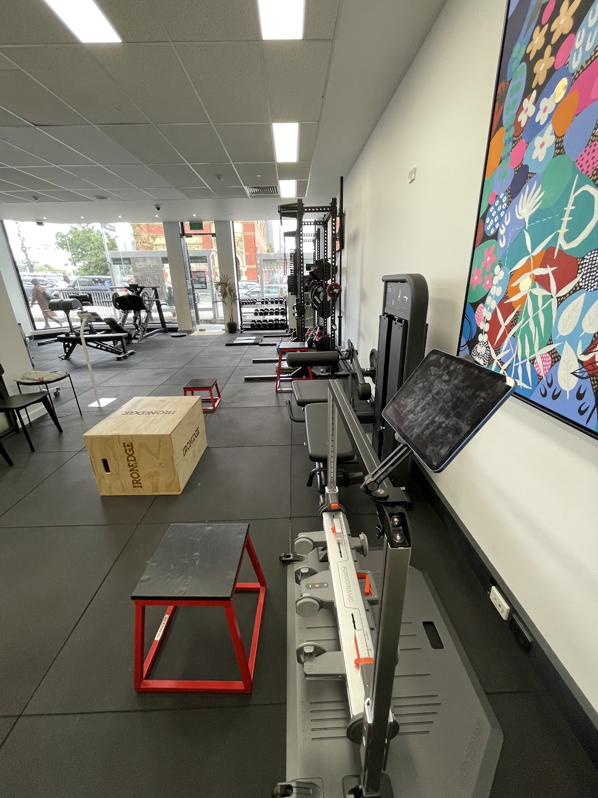 This photo shows a clean and minimalist gym interior with free weights, squat racks, benches, TRX suspension trainers, and box jumps.