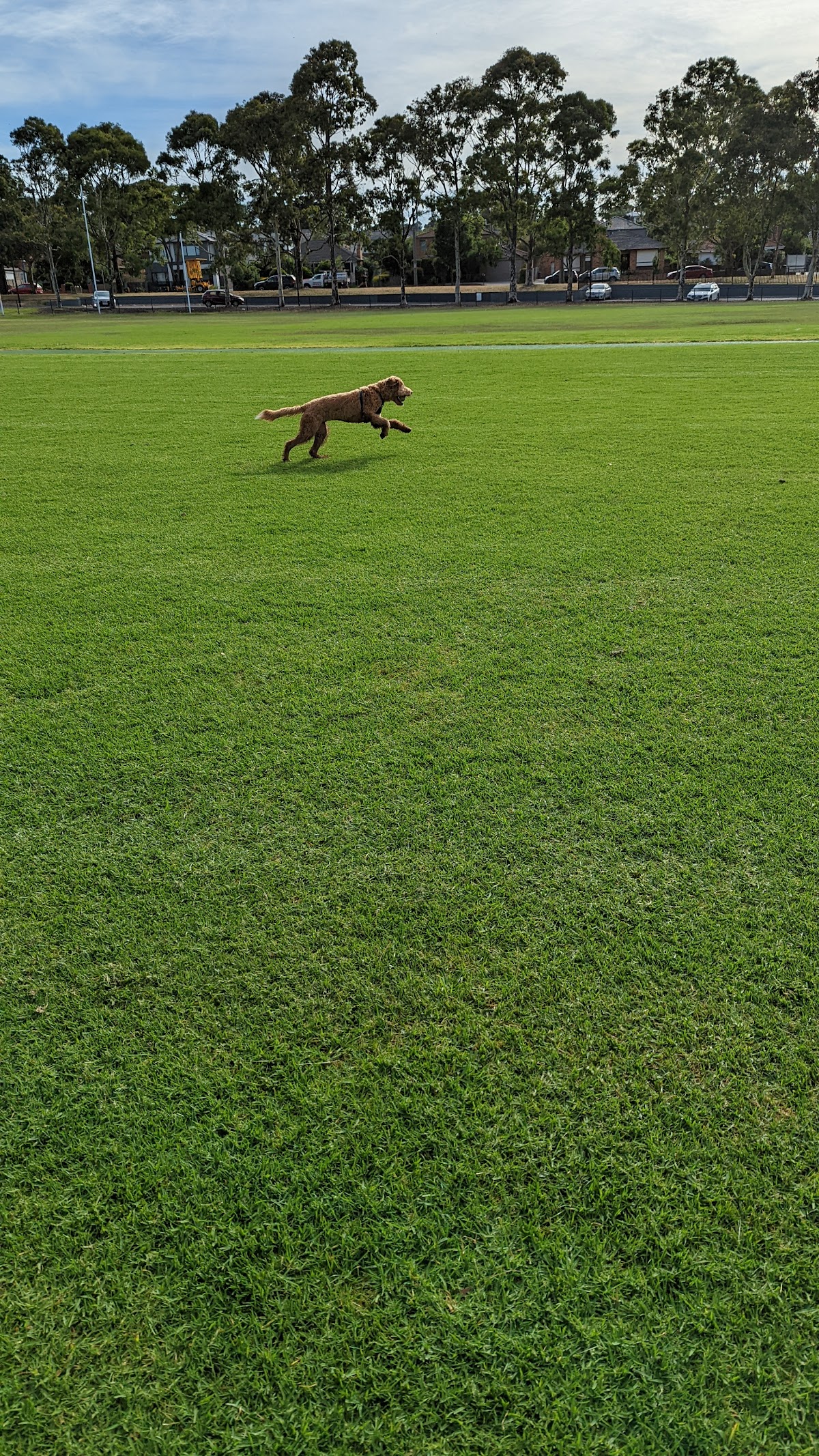 Oak Park Sports and Aquatic Centre