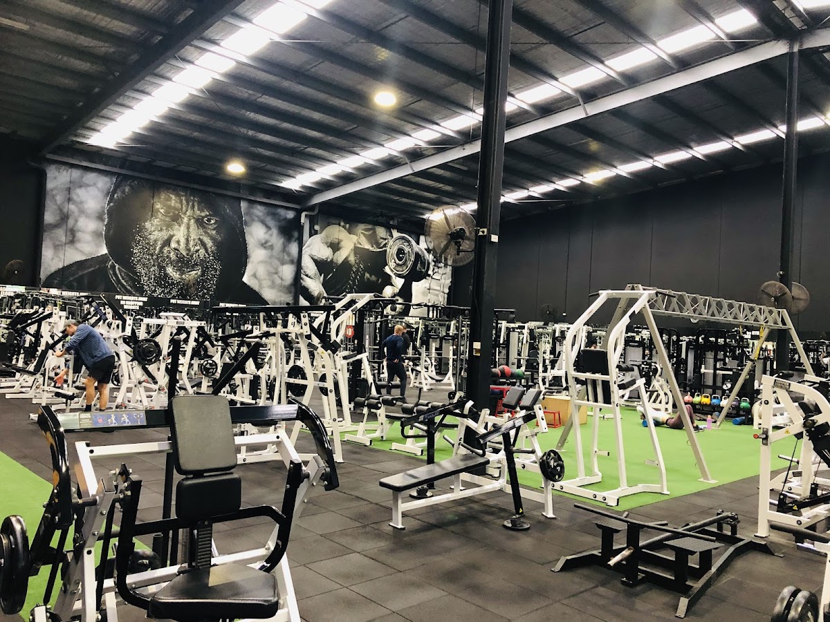 A large gym interior features a variety of weight training equipment and several people working out under a high ceiling with a motivational mural.