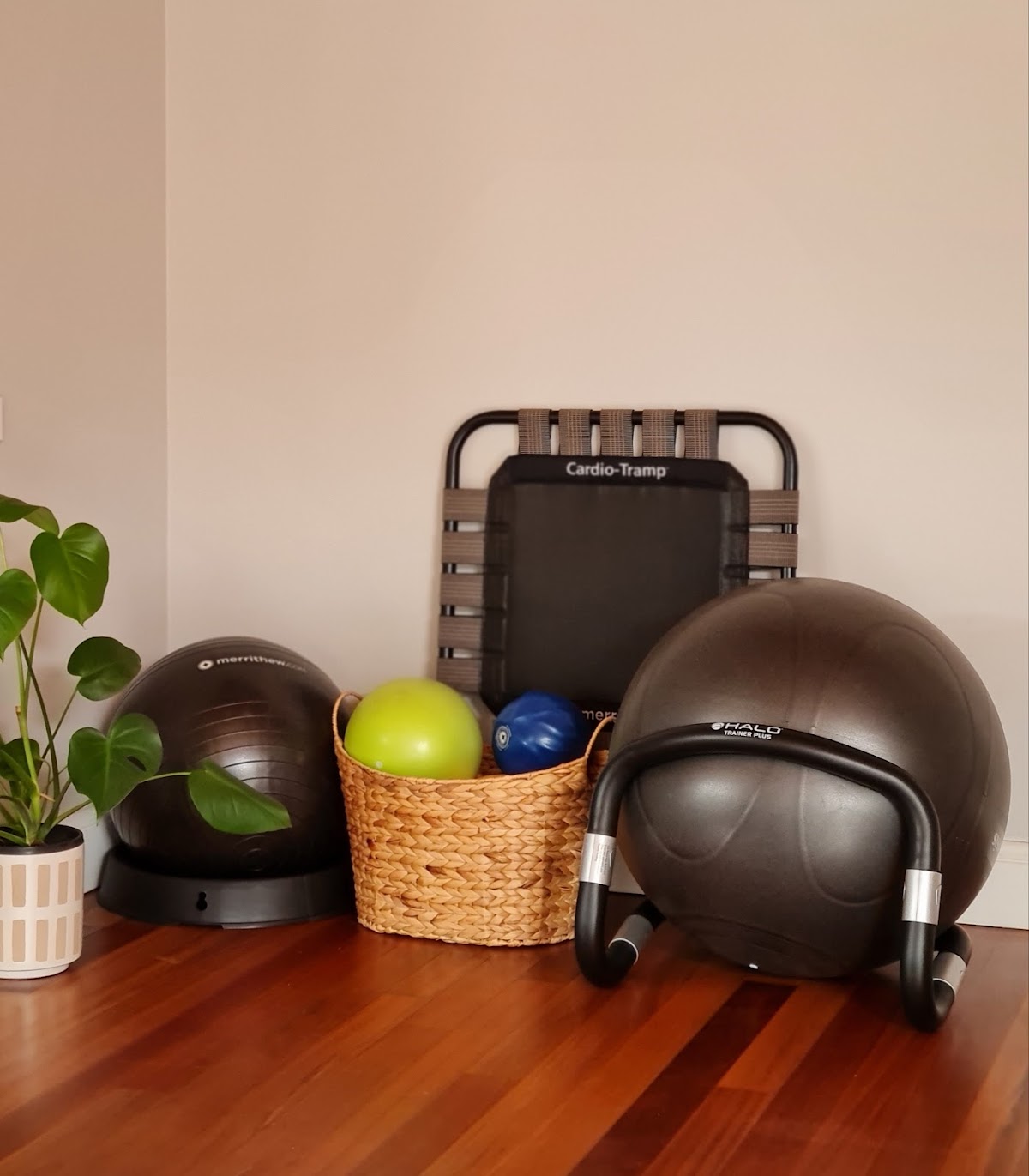 A close-up shot shows a treadmill and exercise balls with free weights arranged on a wooden floor.
