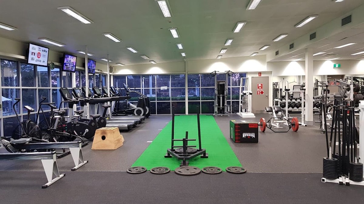 This photo shows a well-lit gym floor with various weightlifting equipment and TRX suspension trainers.