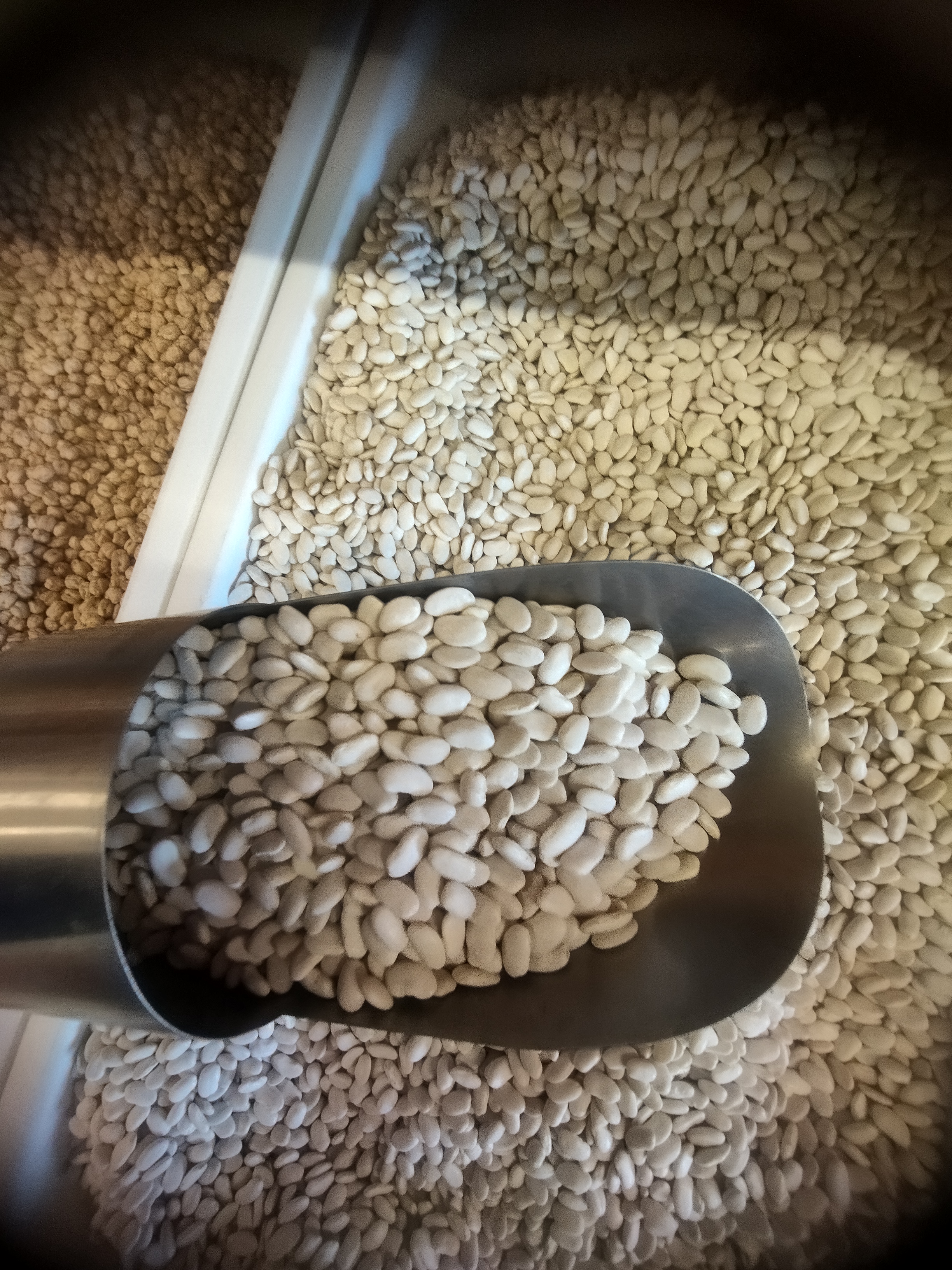 Jumbo kuru fasülye